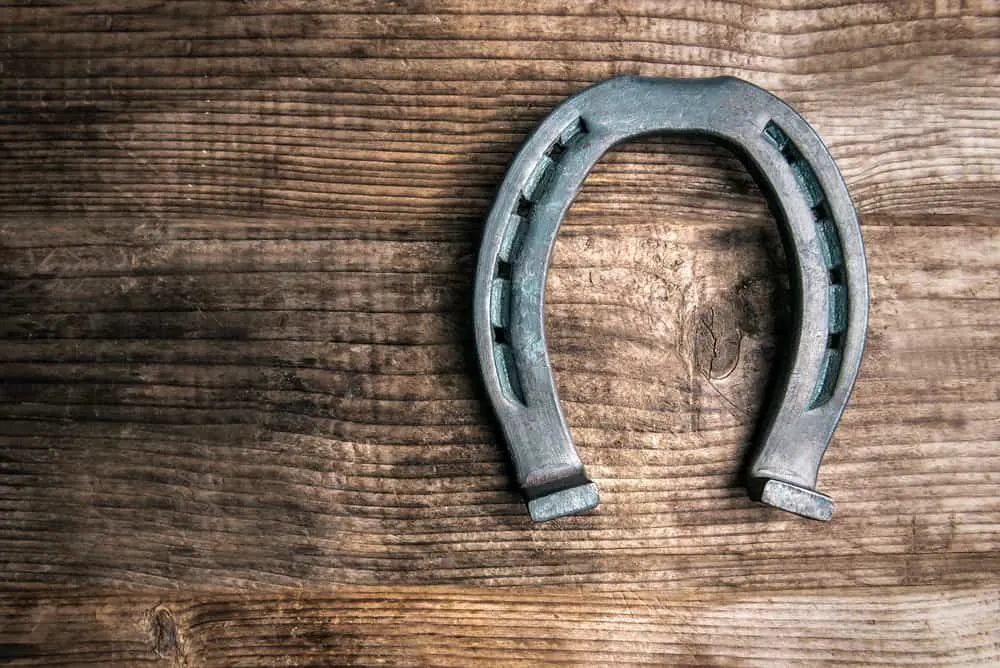 iron luck horse shoe on wooden background poker