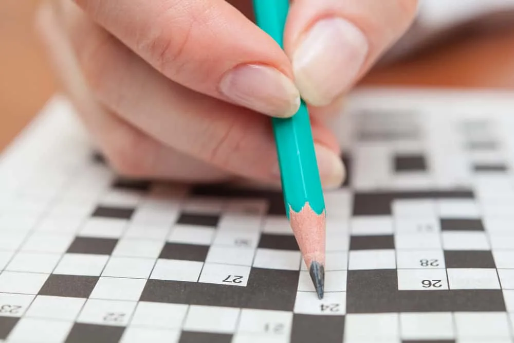 Crossword puzzle close-up