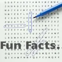 Word search puzzle with text circled, fact word