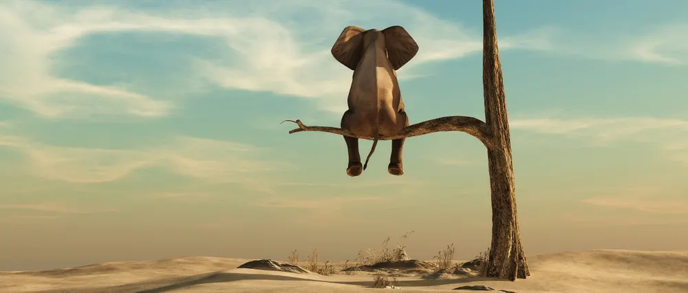Elephant stands on thin branch of withered tree