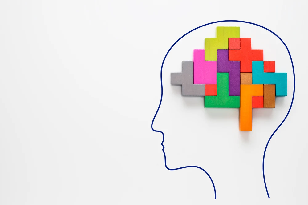 Human brain is made of multi-colored wooden blocks