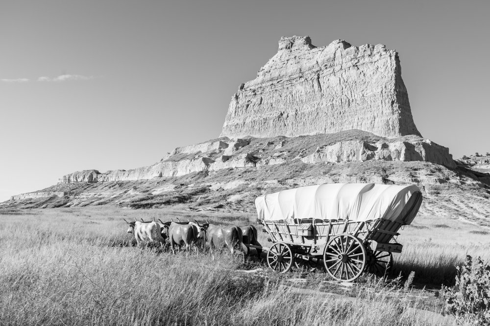 Oxen pull a Conestoga covered wagon on the Oregon Trail